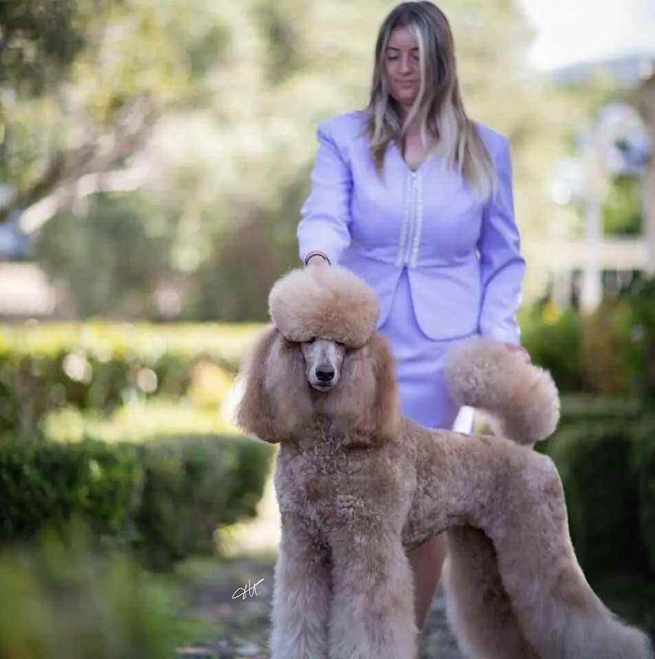 Joy e la padrona Roberta