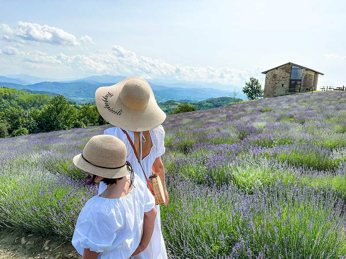 Lavanda in Italia
