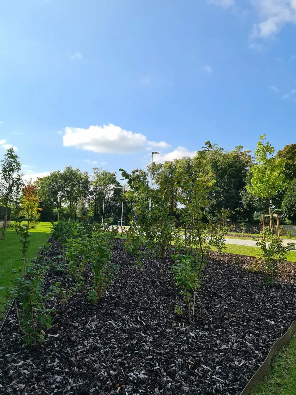 Il nuovo giardino di via Spallanzani