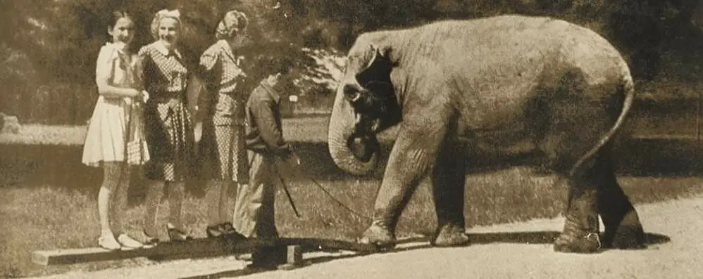 zoo