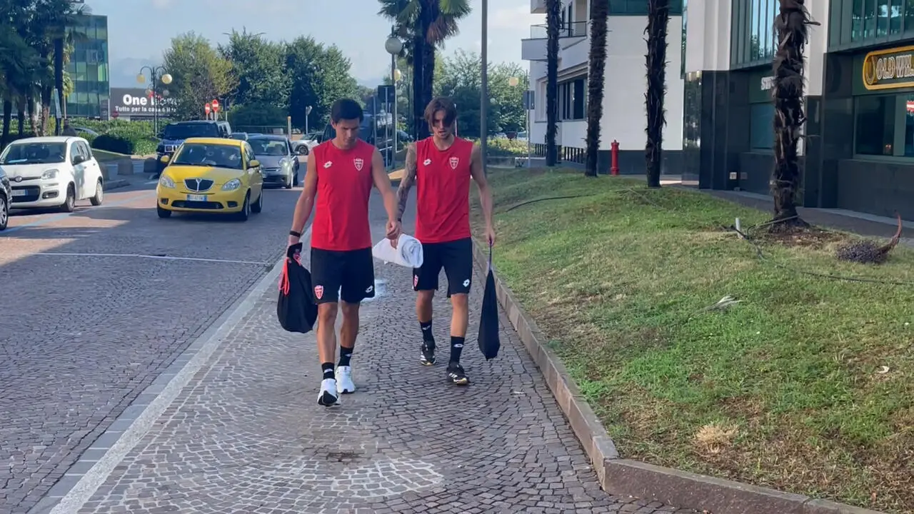 Colpani e Pessina
