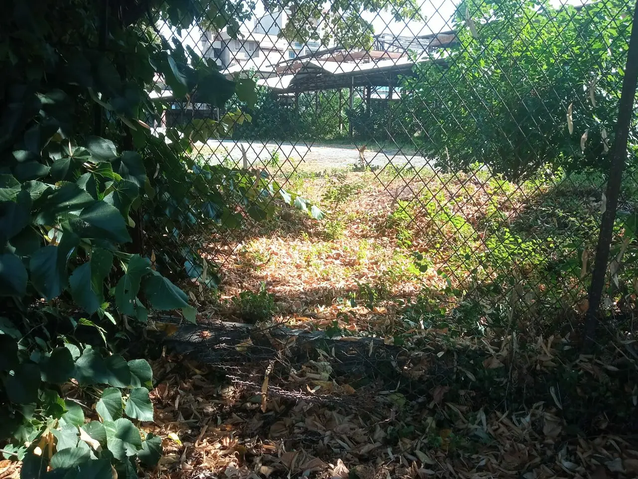 L'ex Macello di Monza