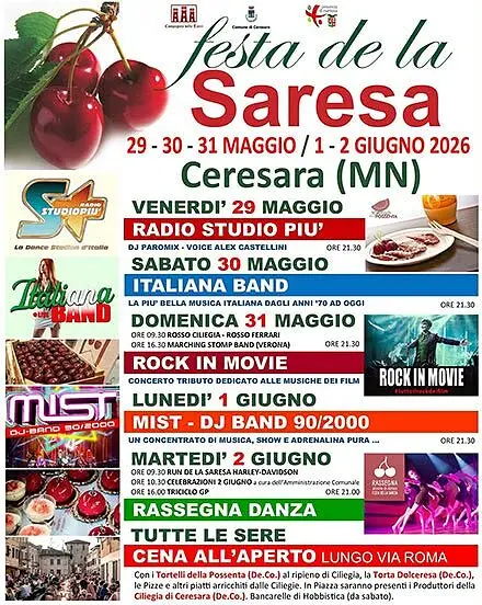 Festa de la saresa