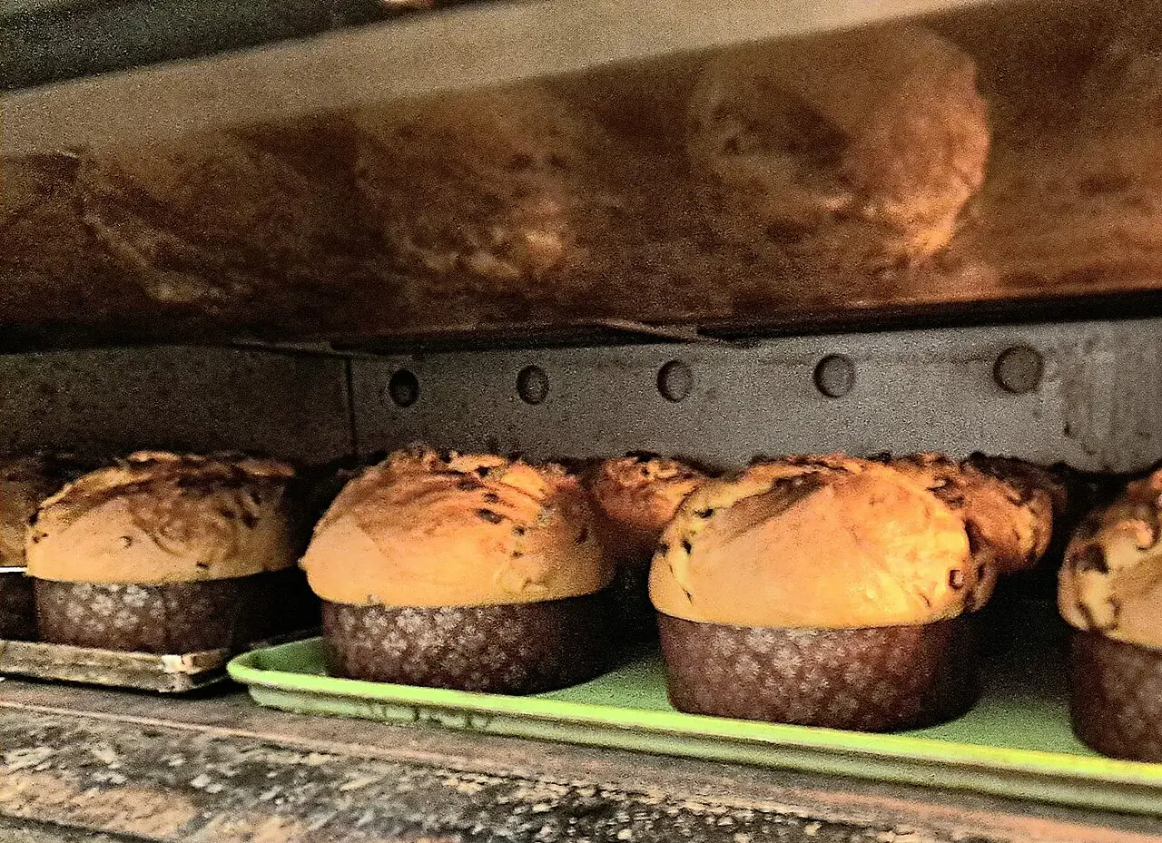 Panettoni in forno