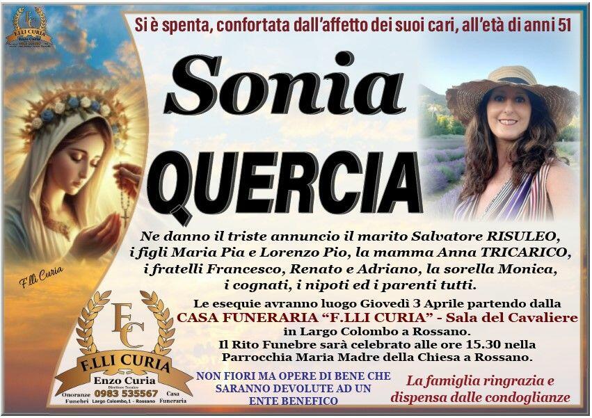 sonia quercia