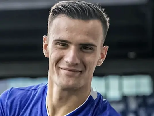 stankovic aleksandar