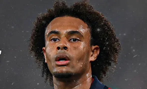 Zirkzee