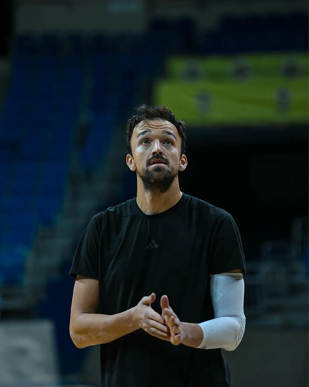 Sertac Sanli, ritorno in patria?