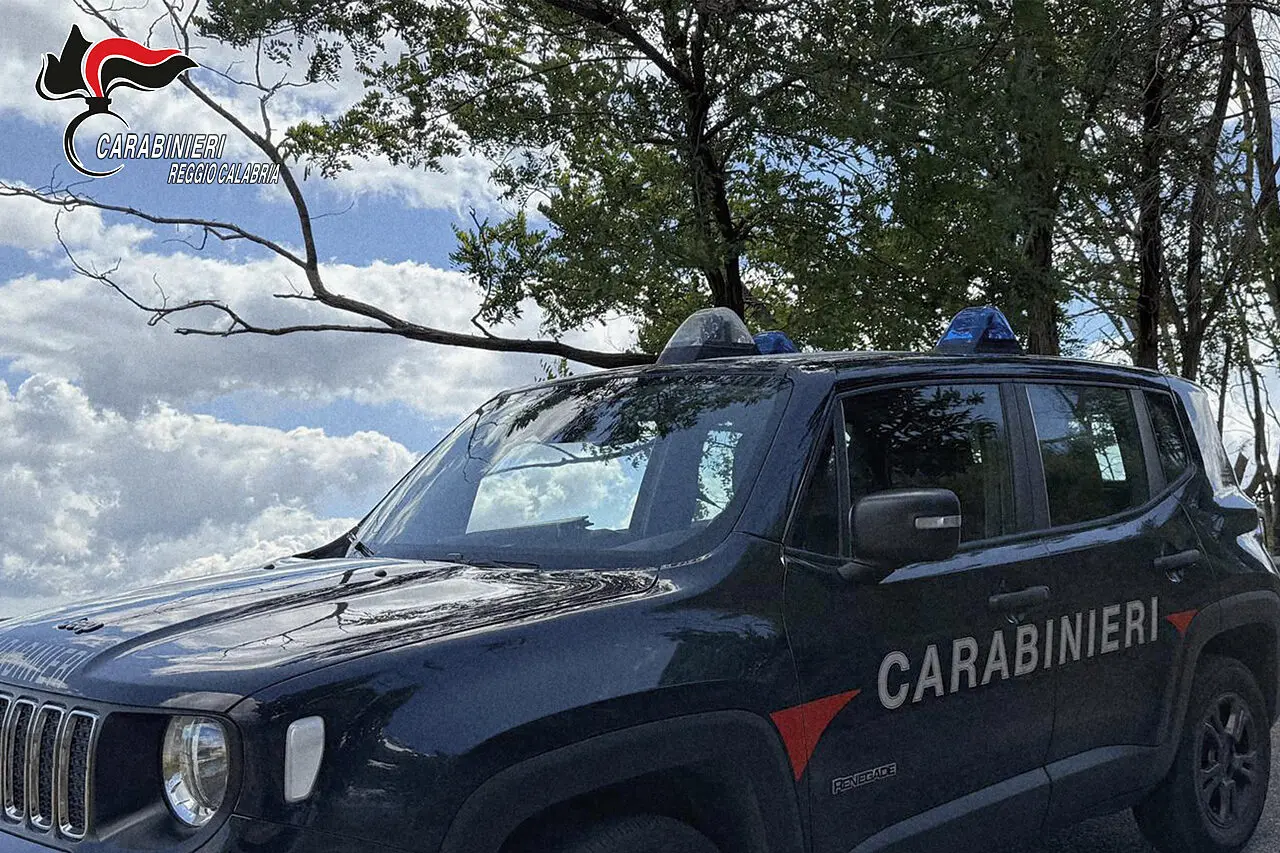 https://slyvi-tstorage.fra1.cdn.digitaloceanspaces.com/l195239493832_tml3554808936193_509282112725_1789636039266118.webp