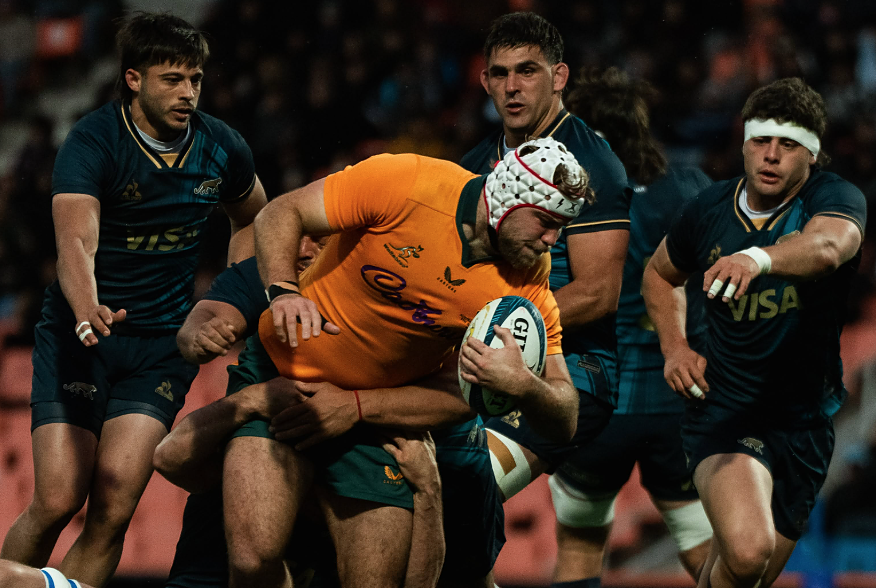 Foto Wallabies