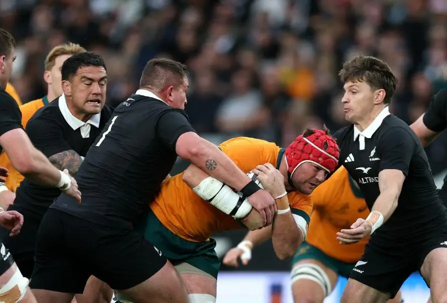 Foto Wallabies