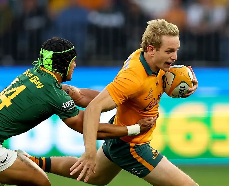 Foto Wallabies