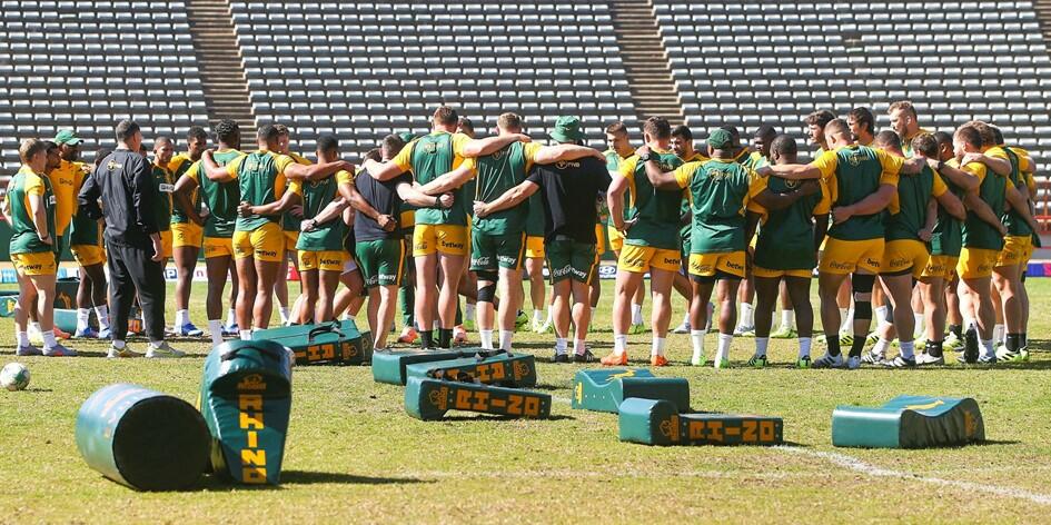 Foto Springboks