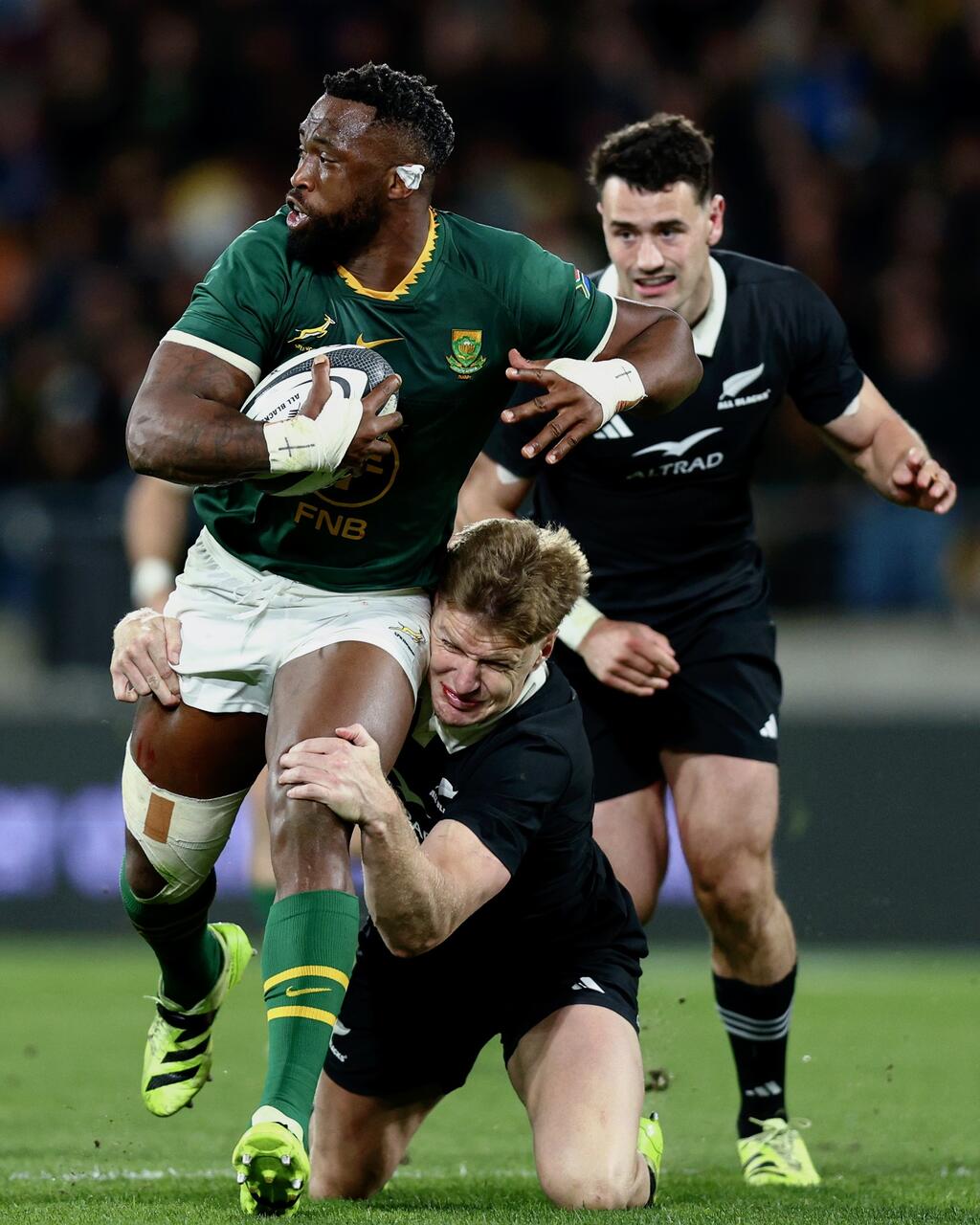 Foto Springboks