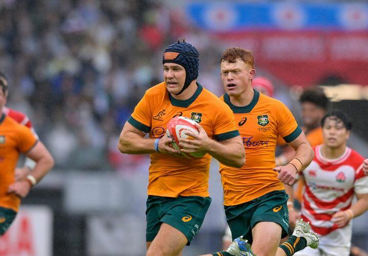 Foto Wallabies