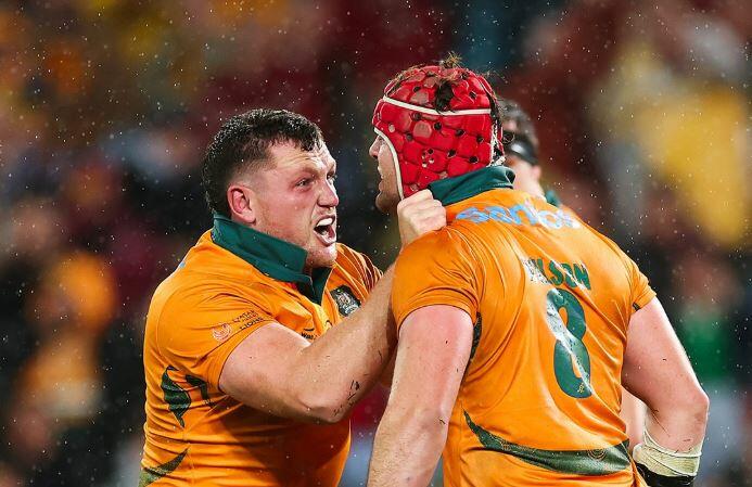 Foto Wallabies