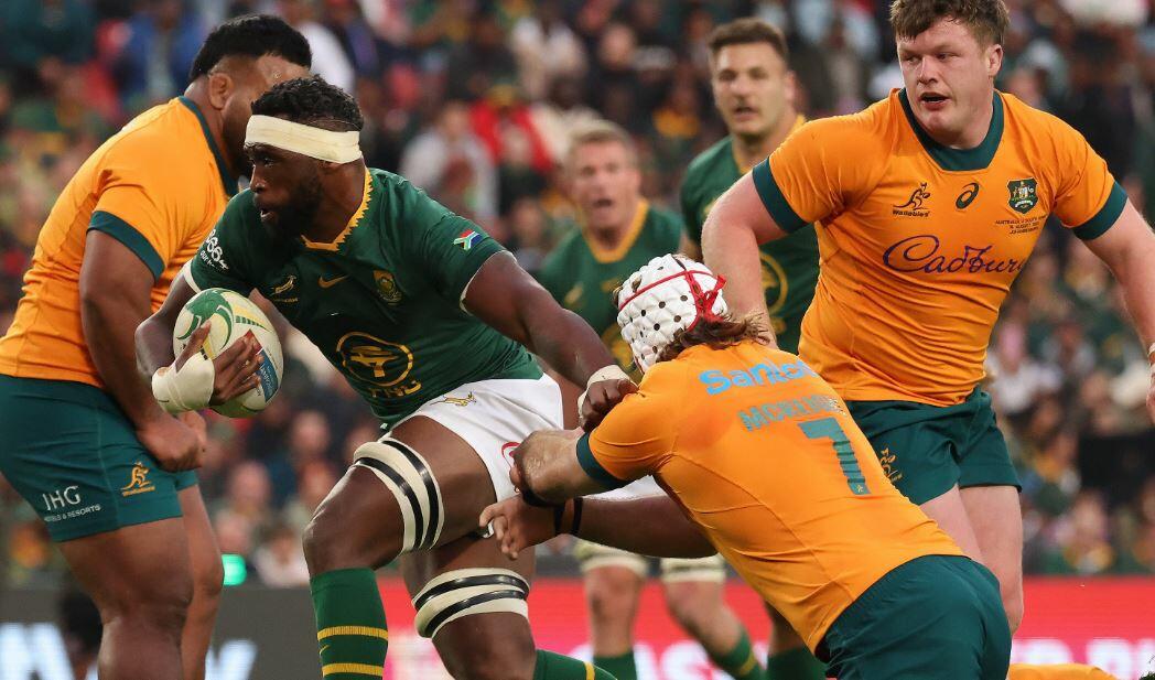 Foto Springboks