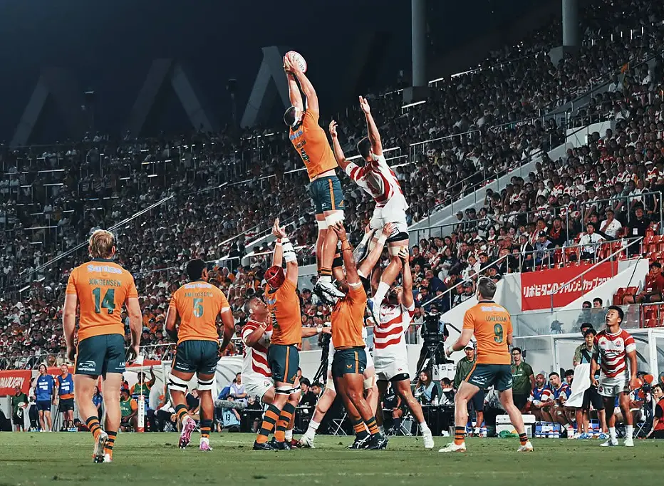 Foto Wallabies