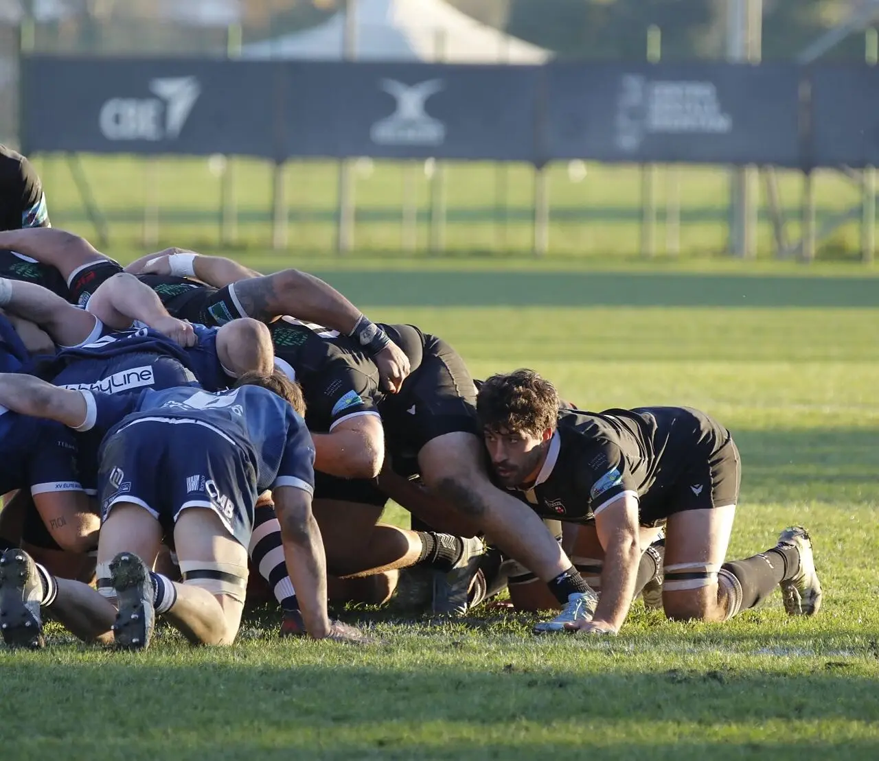 Andrea Trotta - foto Petrarca Rugby