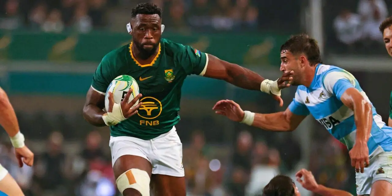 Foto Springboks