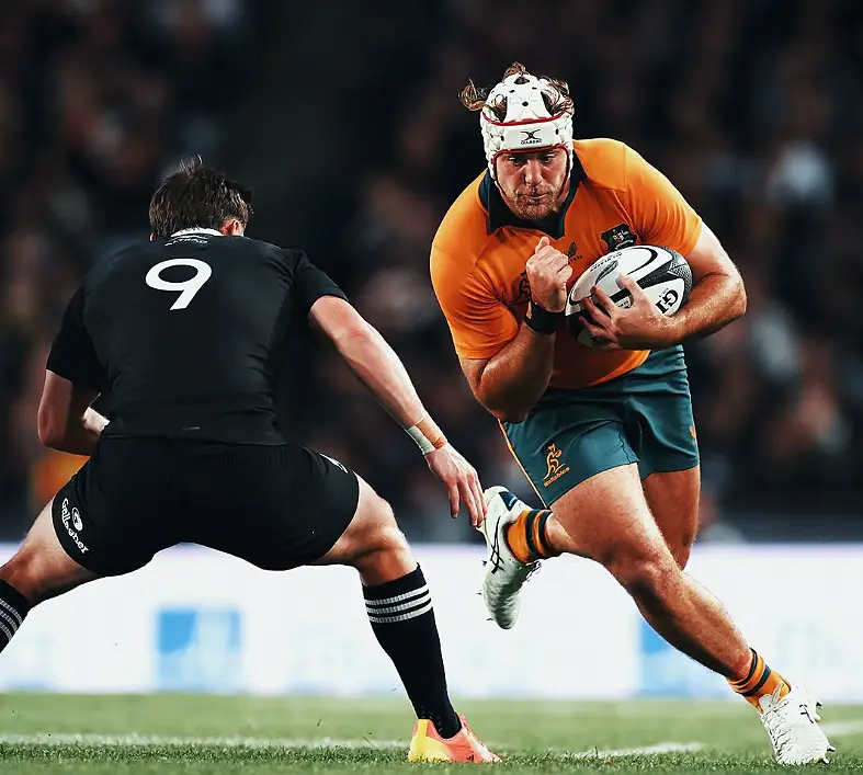 Foto Wallabies