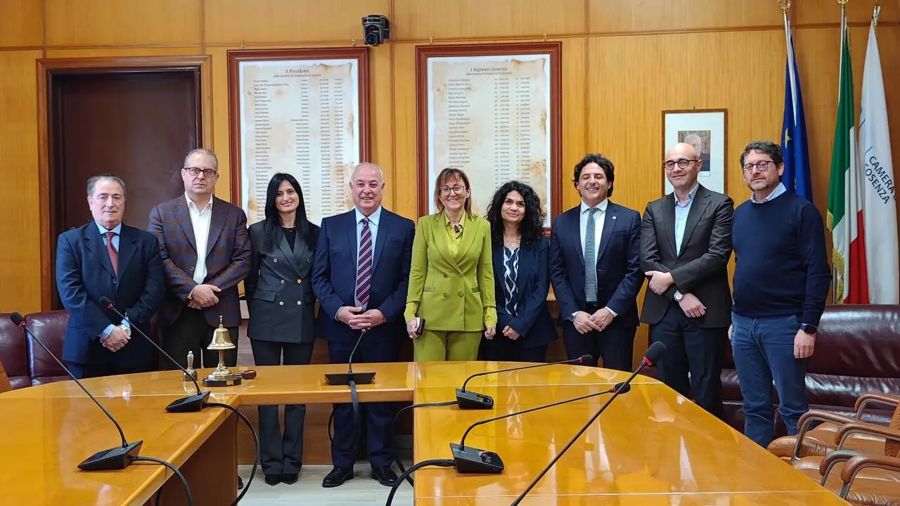 giunta camera di commercio di cosenza