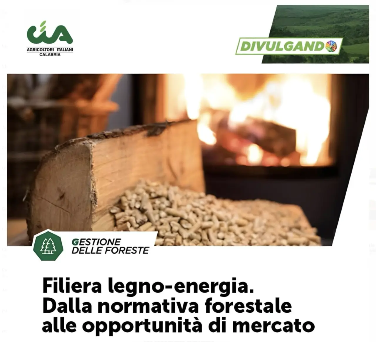 CIA Agricoltori Italiani Calabria filiera legno-energia