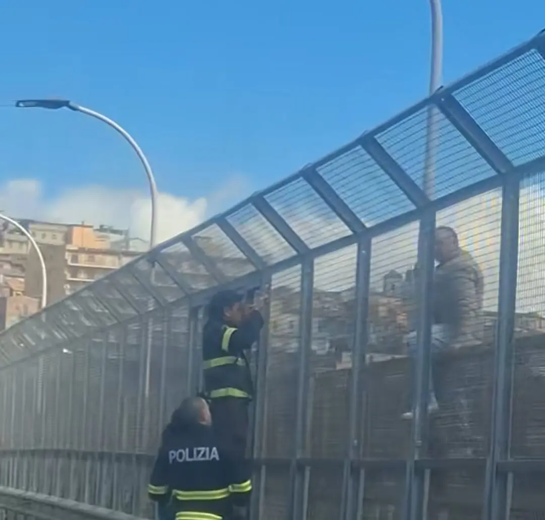 L'intervento della polizia