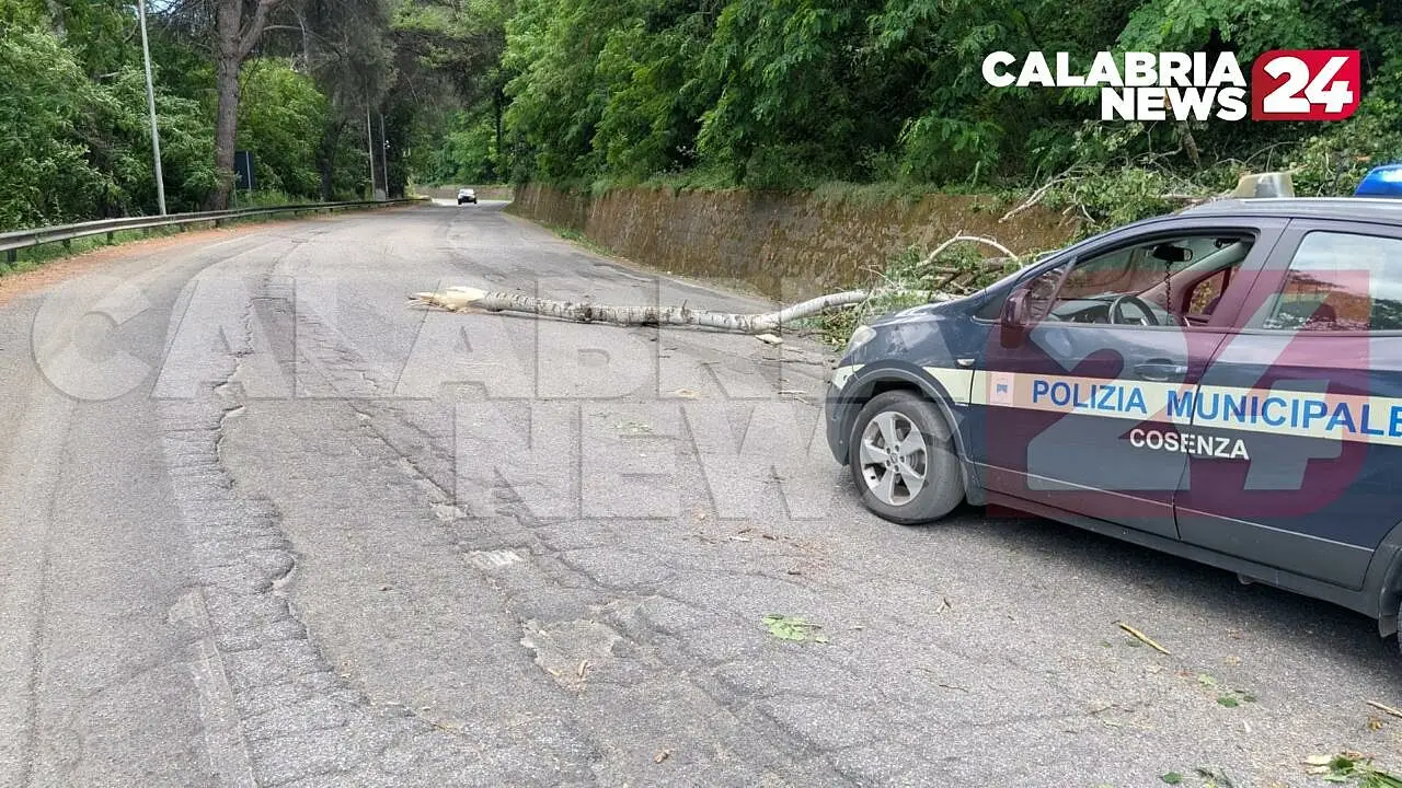 La municipale sul luogo della caduta