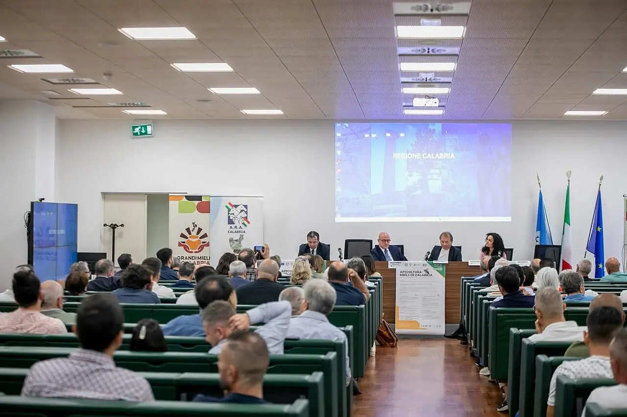 La sala durante il convegno