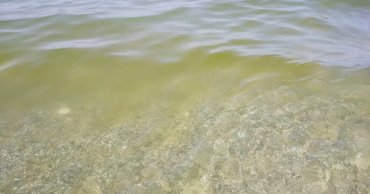 Una chiazza di mare sporco in Calabria