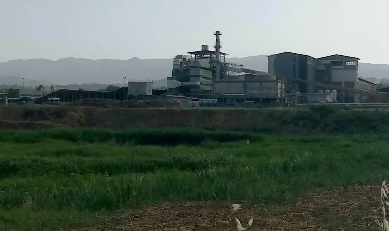 La Legnochimica a Rende