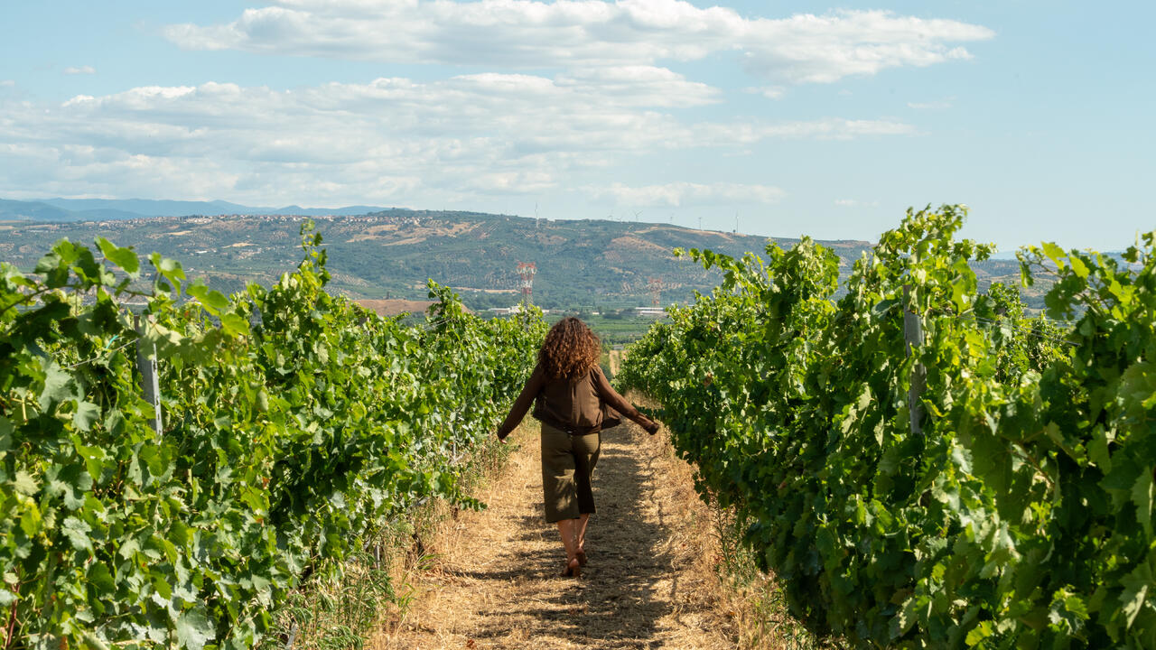Tenuta Santa Vetere
