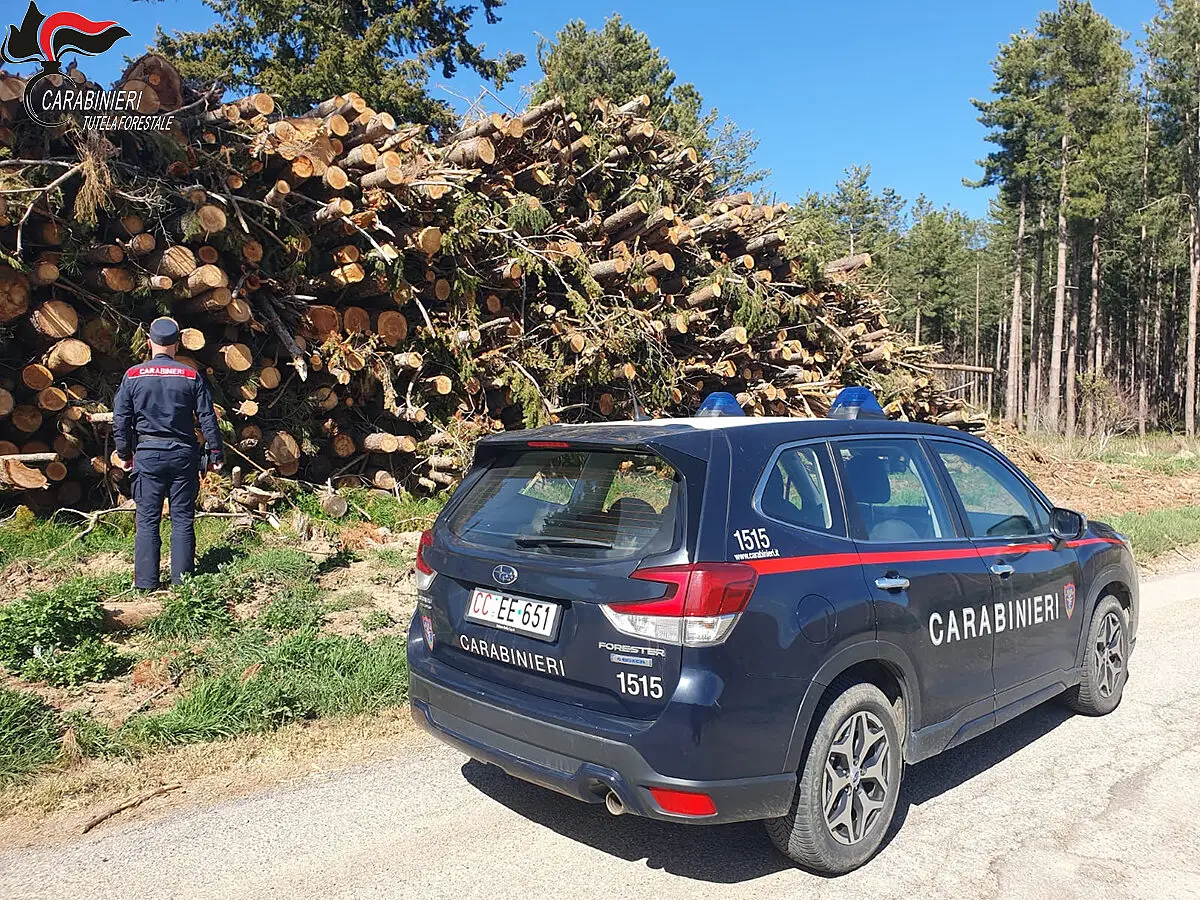 I controlli della Forestale