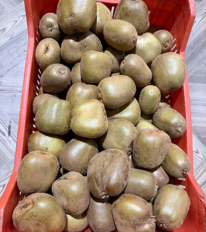 kiwi