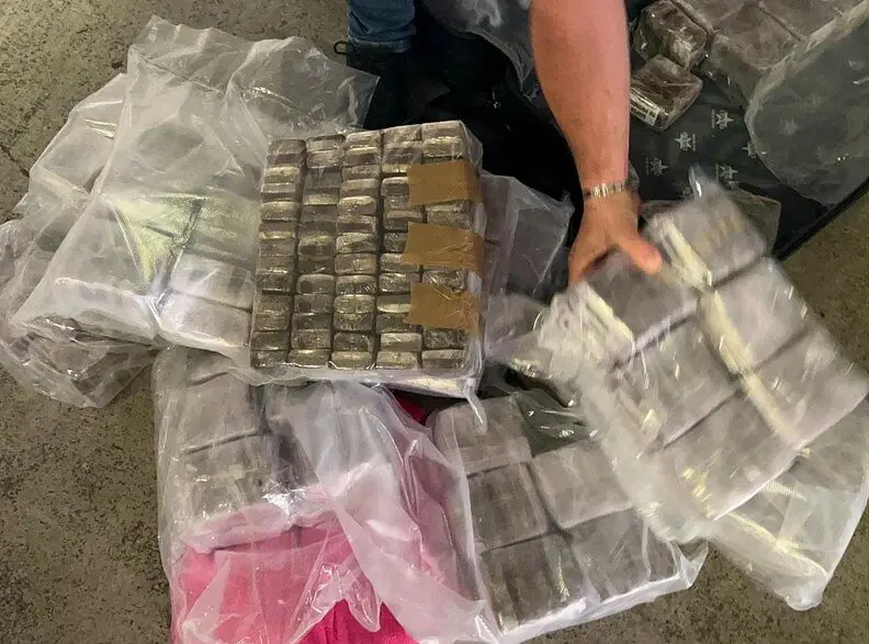 La droga sequestrata