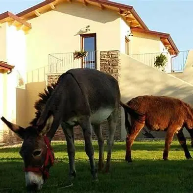 Agriturismo Calabria