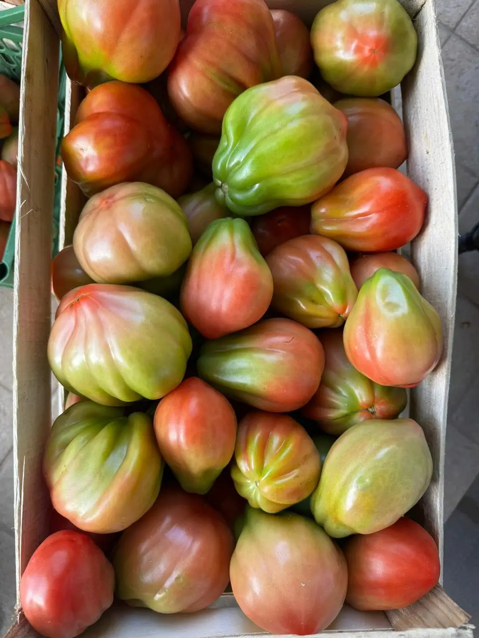 pomodoro cuore di bue