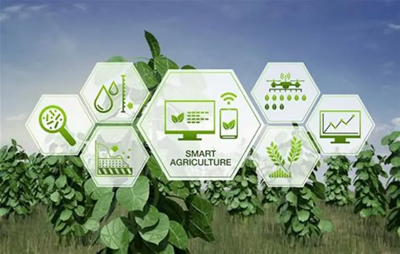 Immagine rappresentativa di agricoltura e sviluppo