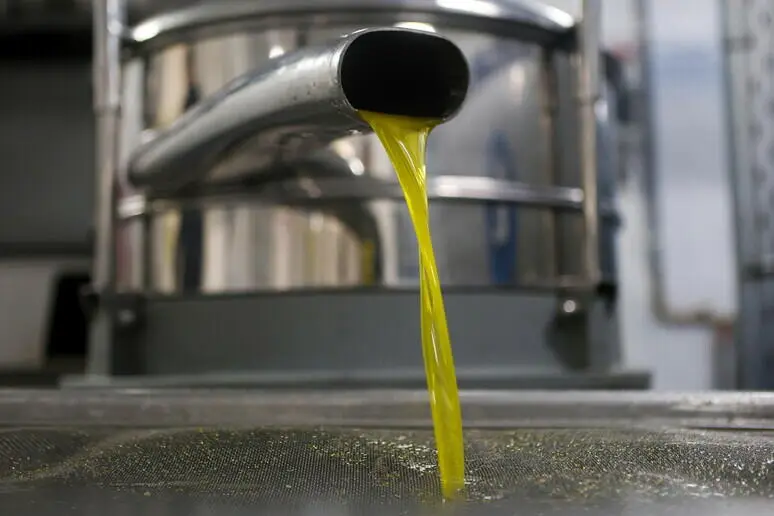 Olio