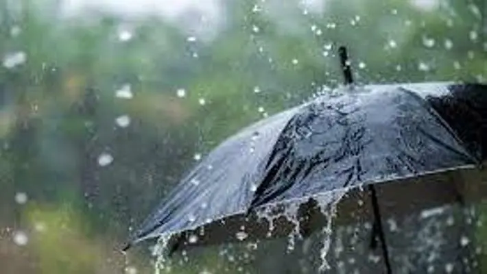 Ombrello necessario alle giornate di pioggia