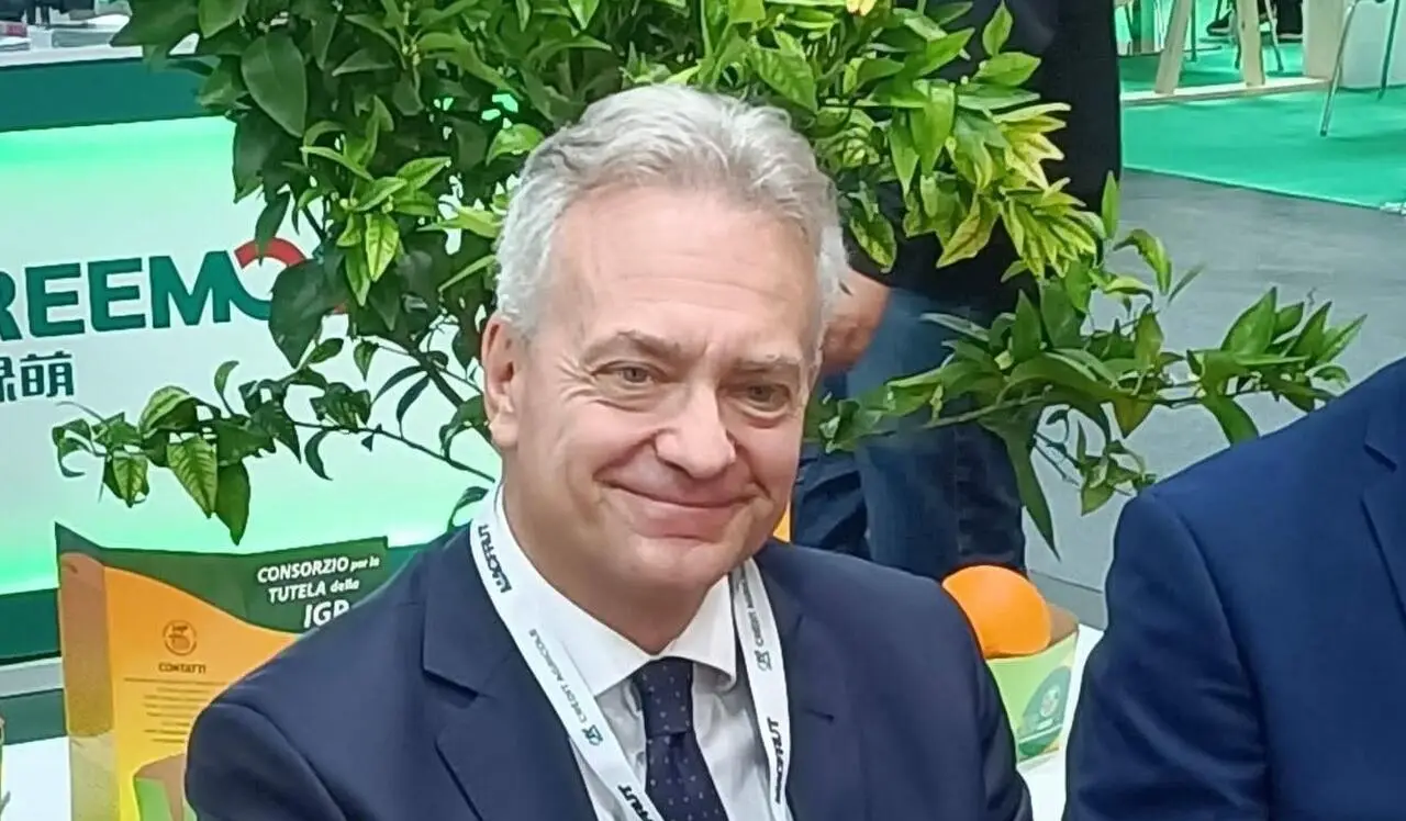 L'assessore regionale Gianluca Gallo