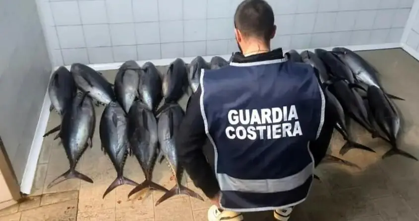 Il sequestro ad opera della Guardia costiera