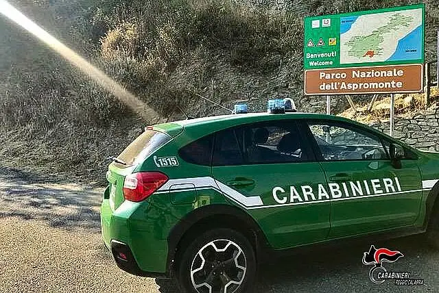 carabinieri forestali rc
