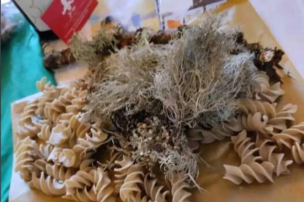 Pasta con i Licheni della Sila