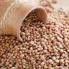 Lenticchia di Mormanno