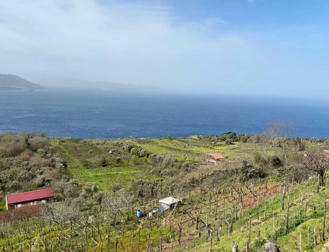 Calabria vento e scirocco