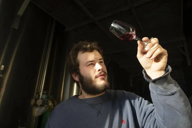 Calice di vino