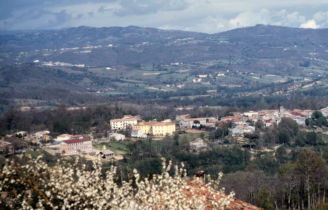 Decollatura