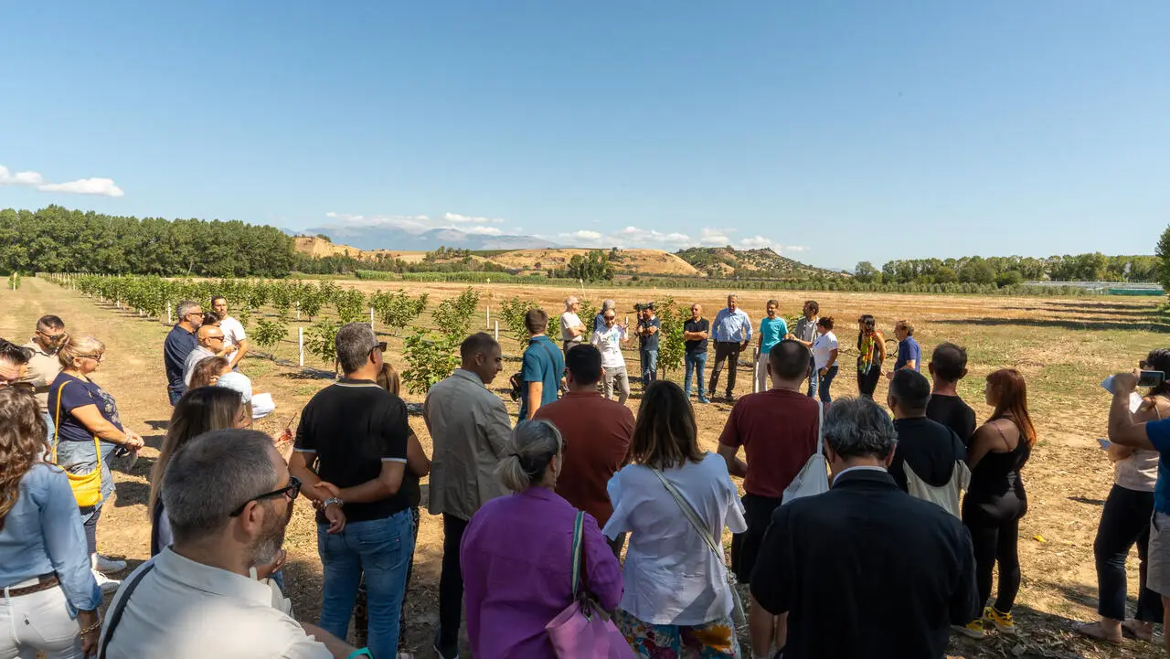 Il press tour a San Marco Argentano